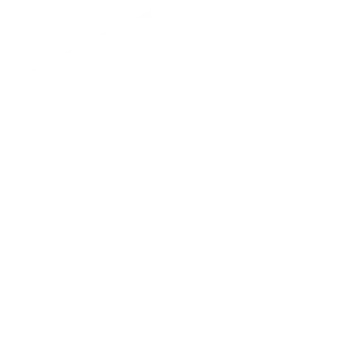 Dice Competitions logo